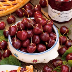 Cerisier Bigarreau Van -Tigeobleu Soldes Magasin 100434 2