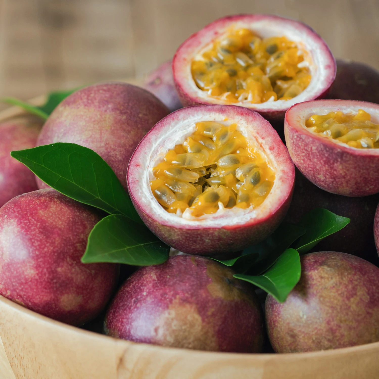 Fruit De La Passion Frederick 1 Fruit De La Passion Frederick