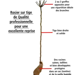 Meilleures ventes -Tigeobleu Soldes Magasin 41953 5