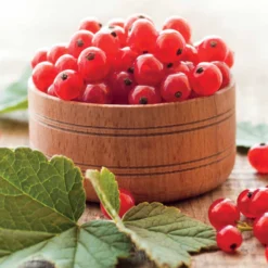 Tigeobleu Soldes Magasin -Tigeobleu Soldes Magasin 71046 3