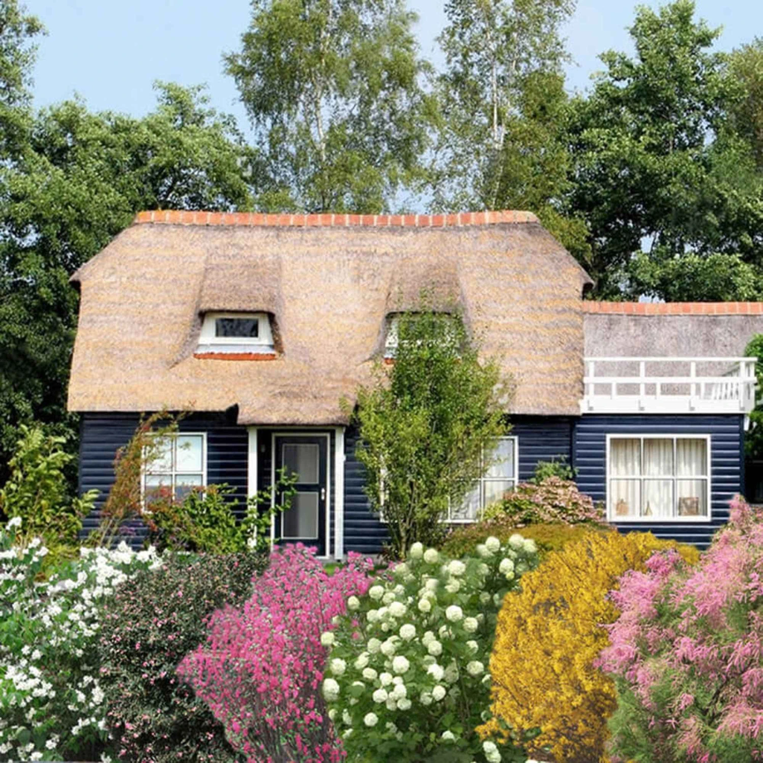 Collection Haie Des Quatre Saisons #2 2 Collection Haie Des Quatre Saisons #2 – Image 2